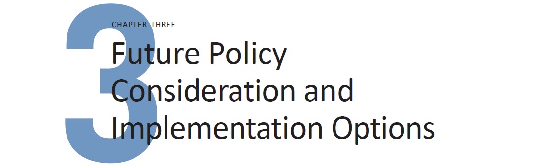 Future Policy Consideration and Implementation Options