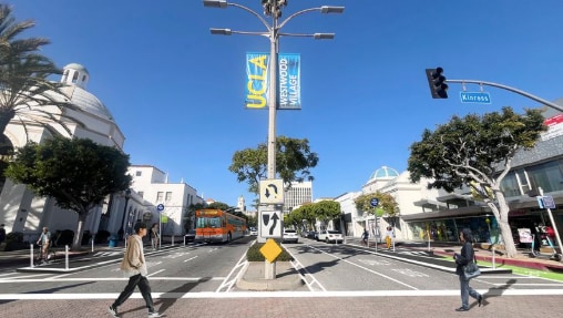 Westwood Blvd Project Survey