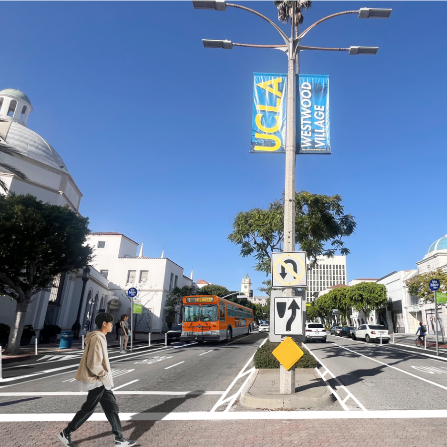 Westwood Blvd Project Survey.png