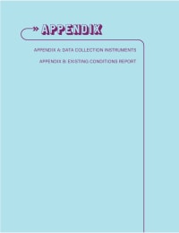 Changing Lanes Appendix